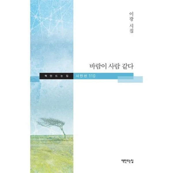 바람이 사람 같다 110 책만드는집시인선