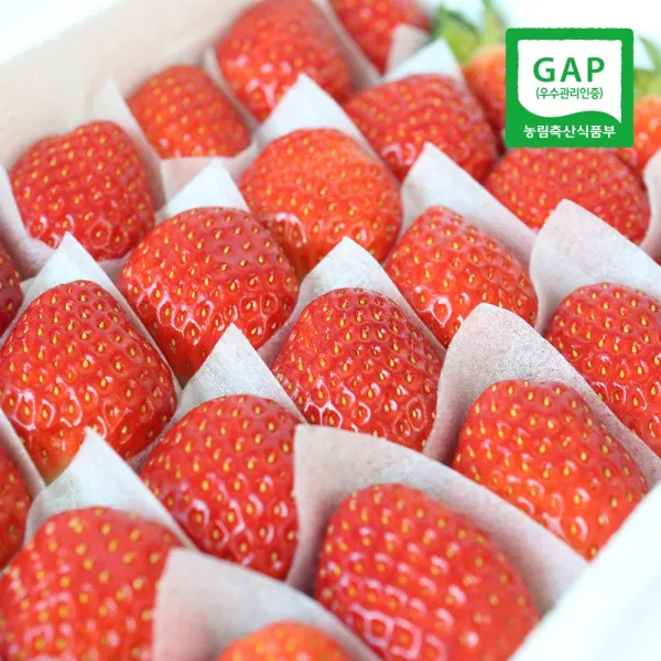 [생산자직송] 충북옥천 신홍석님의 GAP 생딸기(설향/특품) 1kg, 단품