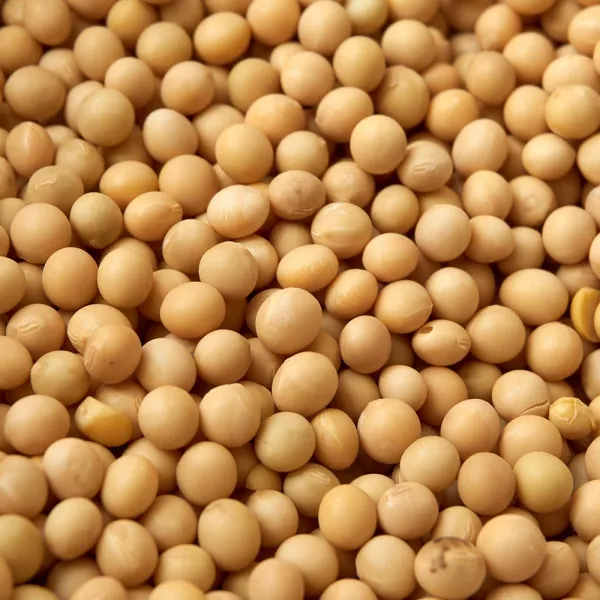 백태 수입콩 캐나다산 수입산 볶은백태 두부콩/메주콩/콩국수콩/ 4.5kg 1개