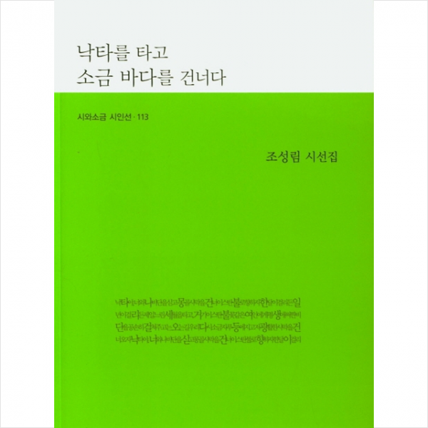 시와소금 낙타를 타고 소금 바다를 건너다 +미니수첩제공