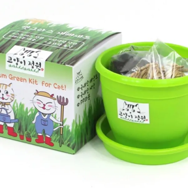 고양이 캣닢 기르기 씨앗 화분 풀세트 고양이토이, 1개