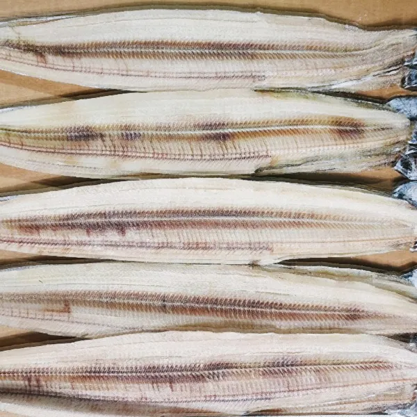 반건조풀치 목포갈치 말린갈치 1박스 20미 풀치조림, 1박스, 특대 20미