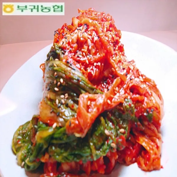 부귀농협마이산김치 포기김치5kg (2019년김치품평회.최우수상수상), 5kg, 1개