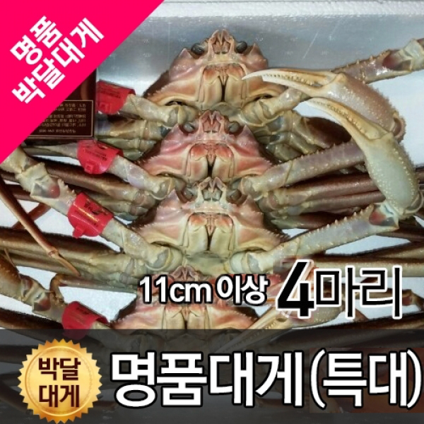 박달대게 특대 11cm이상 4마리 찜배송