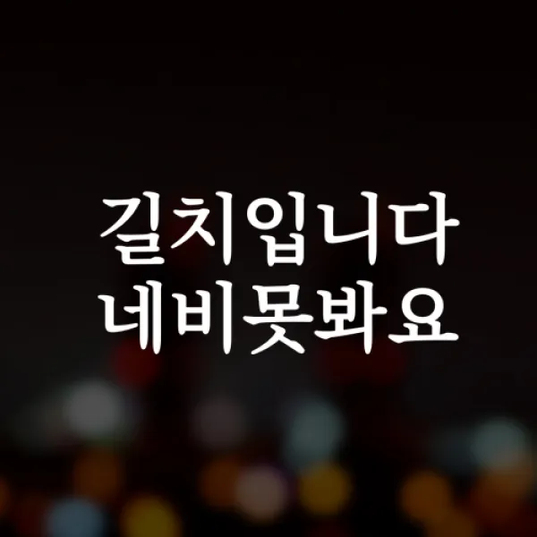 윈스턴 초보운전 아이가타고있어요 아이먼저 극한초보 차량스티커 40종, 1개, 13.명조-길치-화이트