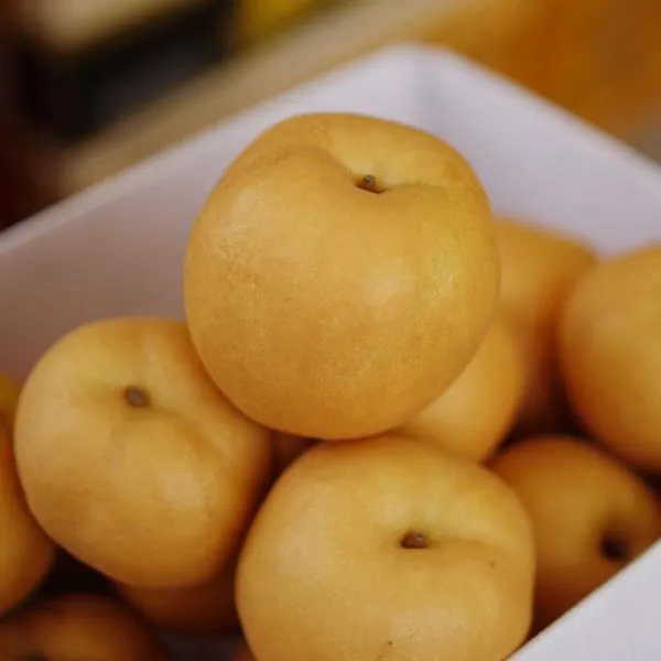 ♪앵콜상품♬♩ 배 나주배 배도라지 배농장 신고배 배즙 영화농산 농장 선물세트 D†♩ng 1개 ♬본 상품 선택하기_cumus™