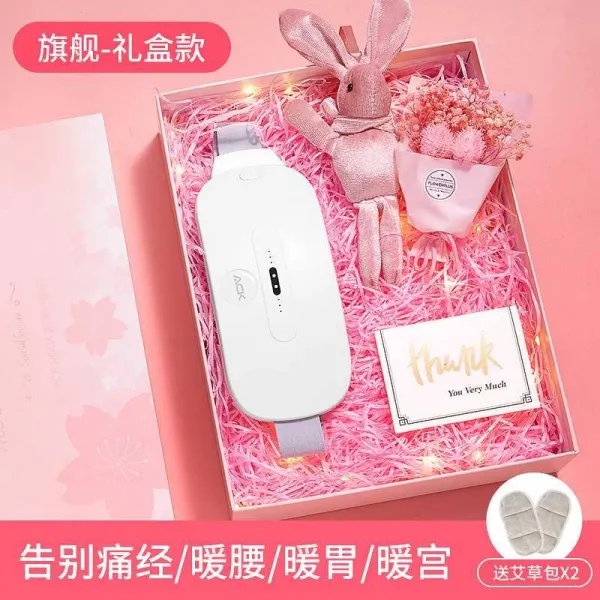 휴대식 난궁대 오 따뜻함 배 의 궁한 여 일이 생기다 생리통 보온, 균일 화이트 천추 판다 케이스 적외선 가열