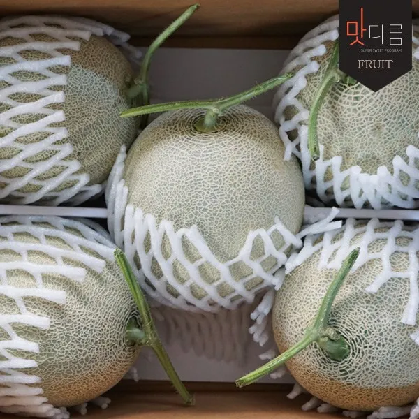 [가락시장 경매 식자재 과일][국내산] 세지메론 5kg내외 3수/box, 1box, 5kg