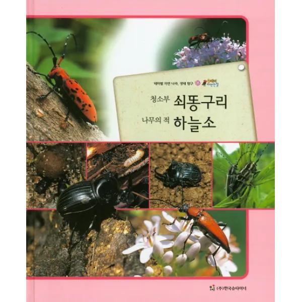 청소부 쇠똥구리 나무의 적 하늘소:테마별 자연 나라 생태 탐구, 한국슈타이너