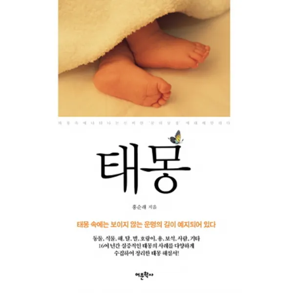 실증사례에 바탕을 둔 태몽:태몽 속에는 보이지 않는 운명의 길이 예지되어 있다, 어문학사