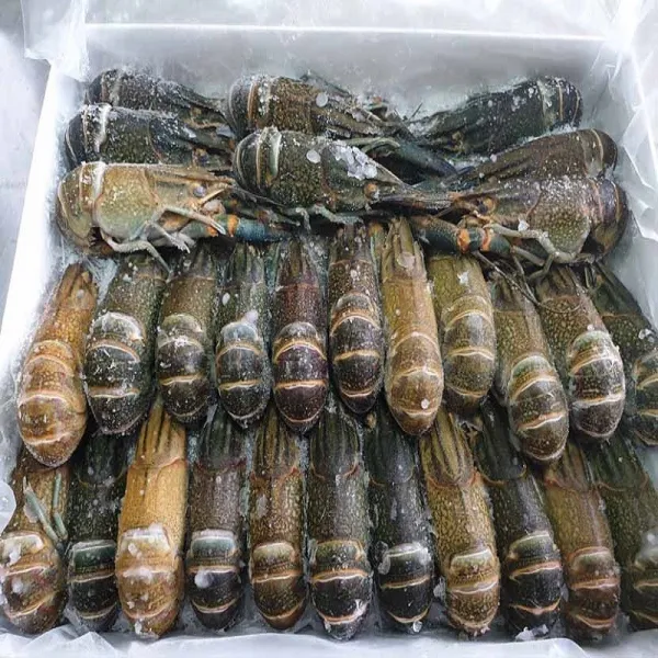 동아씨푸드 크레이피쉬 민물가재 마라롱샤 1kg +소스포함, 1개, 51-60미