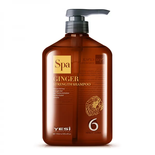 에쓰 생강 강근 건발 샴푸 (유제) 무규소 강 샴푸 정철 두피 강인성 모발 샴푸 750ml, 단일상품