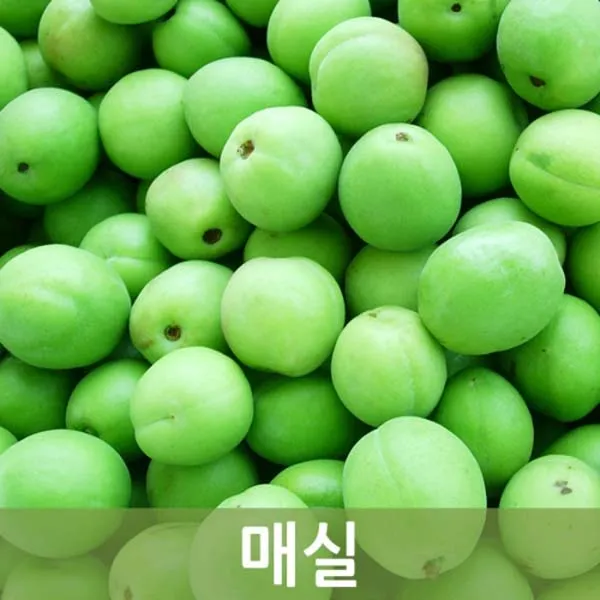 두리반농산 청매실 10kg내외, 1박스, 매실 10kg 상품