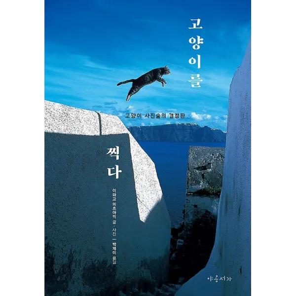 고양이를 찍다 야옹서가