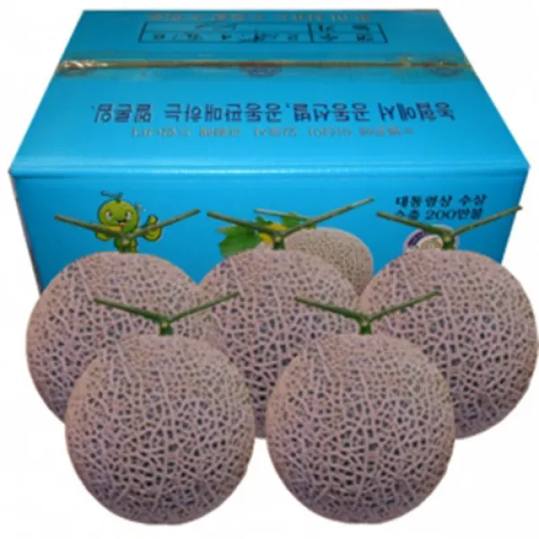 나주 세론이 메론 5kg 5개입 고당도12브릭스 멜론, 1