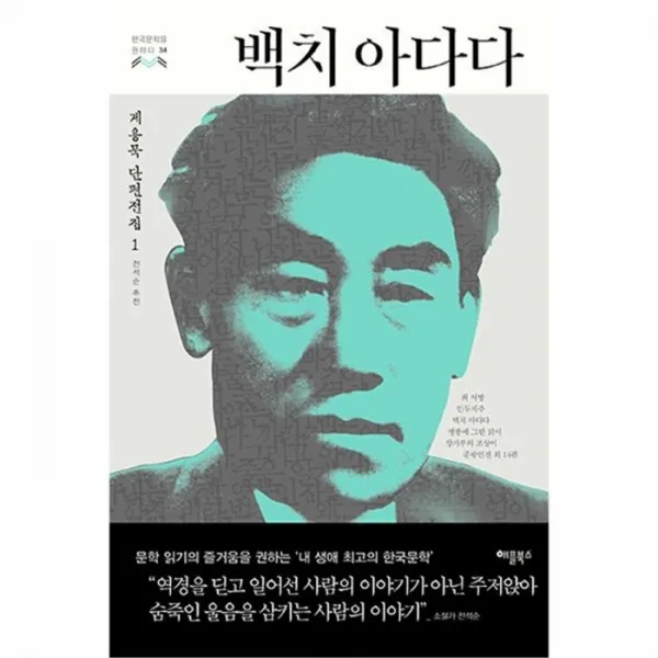 웅진북센 백치 아다다 34 한국문학을권하다, One color | One Size@1