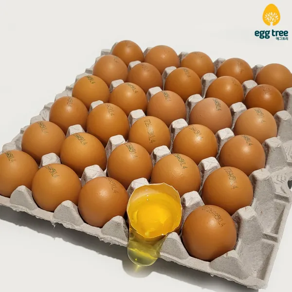 에그트리 생계란 농장직송 달걀, 30구(1800g이상)