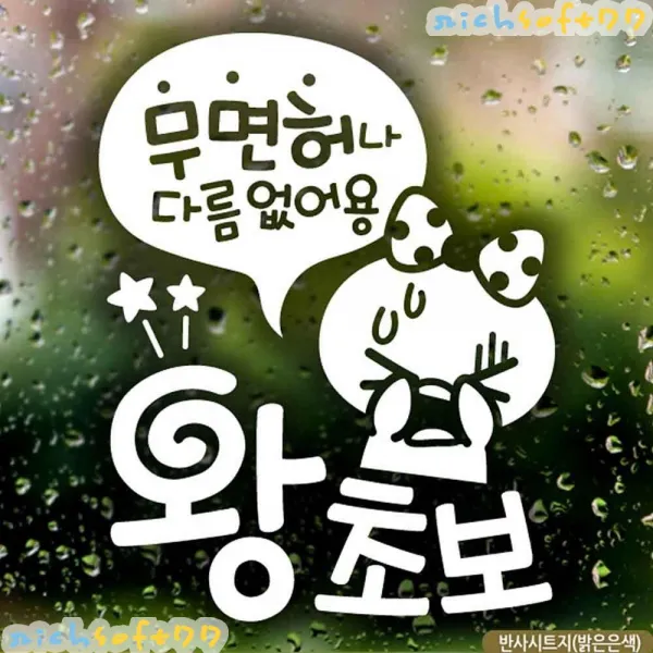 [richsoft77] 자동차스티커 무면허왕초보 쁘띠 초보운전 반사