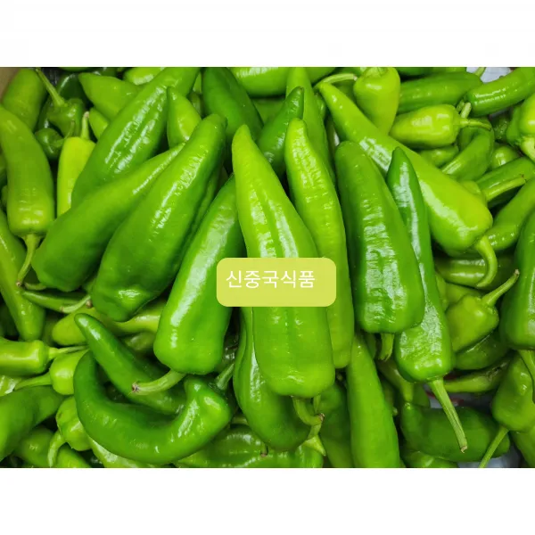 [신중국식품] 싱싱유죠. 살짝매운 왕고추 . 중국아삭이고추.유죠, 1개, 1kg