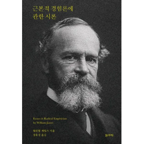 근본적 경험론에 관한 시론, 갈무리