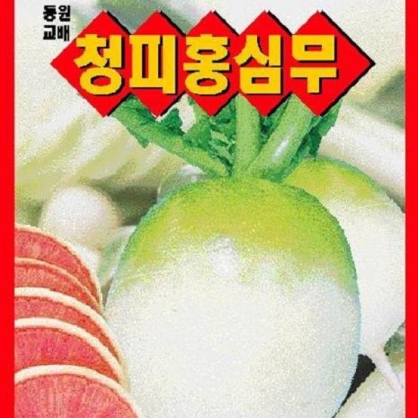 [가람종묘사] 홍심무 씨앗(동치미 샐러드용으로 적합한무 과일무 수박무라고 불리는 품종)