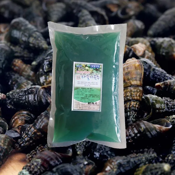 6시내고향 영월평창 육수용 쪽쪽이 다슬기 제첩 올갱이 육수 1kg 3팩, 단품