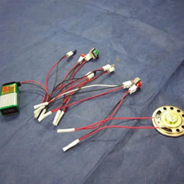 빛을비추면 새소리가 나요