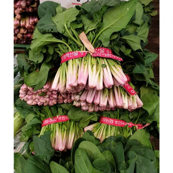 포항초 남해 시금치 1kg 2kg 노지 포항 시금치 겨울초 보물초 산지직송, 포항초-1kg