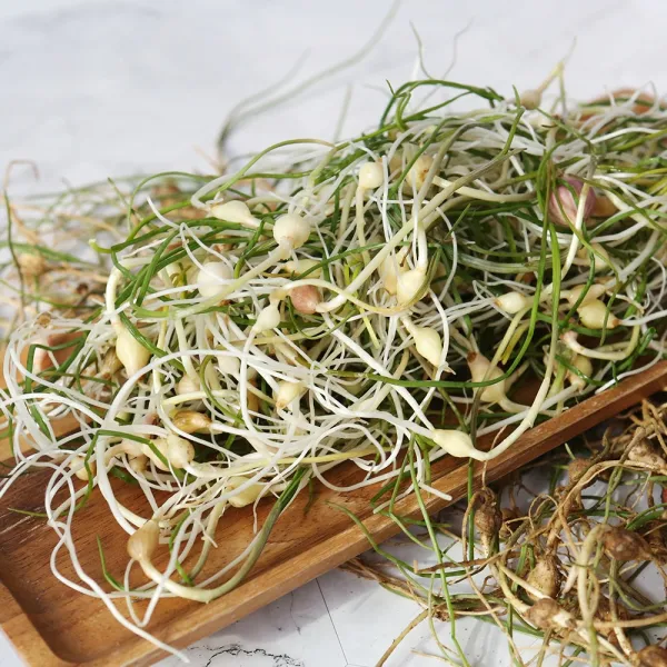 [산지직송] 안면도 황토 달래 500g1kg, 흙 달래500g