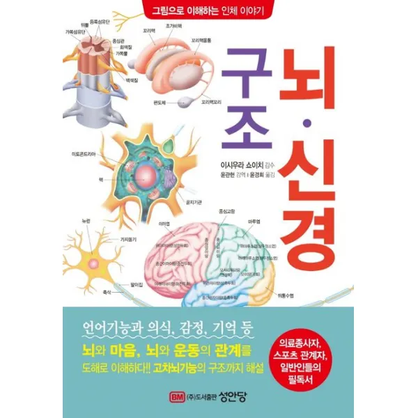 뇌·신경 구조:의료종사자, 스포츠 관계자, 일반인들의 필독서, 성안당, 이시우라 쇼이치