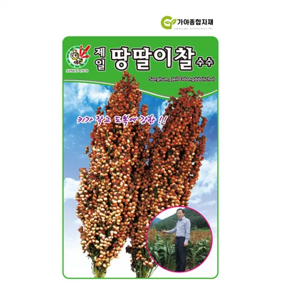 제일 땅딸이찰수수 (20그람)