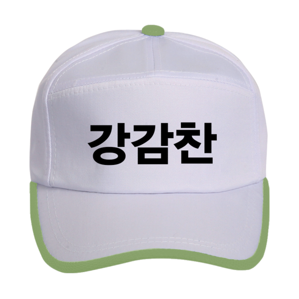 일렉션웨어 무소속 B형 그린 선거모자