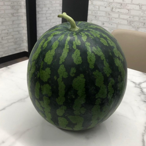 고당도 고령 우곡 하우스 꿀수박 흑미수박 맛있는 여름 수박 흑수박 6kg 1통 초작 제철과일 고당도 하우스 꿀수박 6~7kg 1통