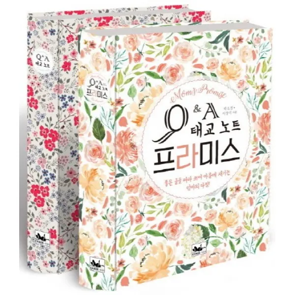 Q&a 태교 노트 프라미스 책앤