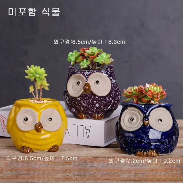 Siteng캐릭터 돼지부엉이다육이 화분 세트D0609활동하다증정미니원예 공구 3종 세트, 사진 색상31+미니원예 공구 3종 세트