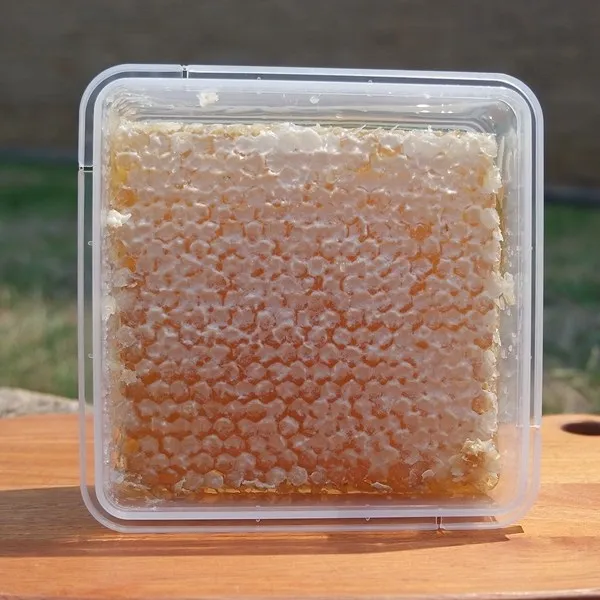 오박사허니콤 아카시아벌집꿀 500g 1개