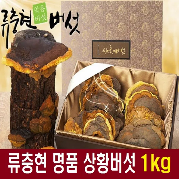 명품 국산 상환버섯 차 상황버섯원물 상황버섯차 목질 진흙상황버섯 뽕나무상황버섯 무농약 자연산 친환경 재배 류충현 약용버섯 버섯차 버섯 선물 세트, 1set, 1kg