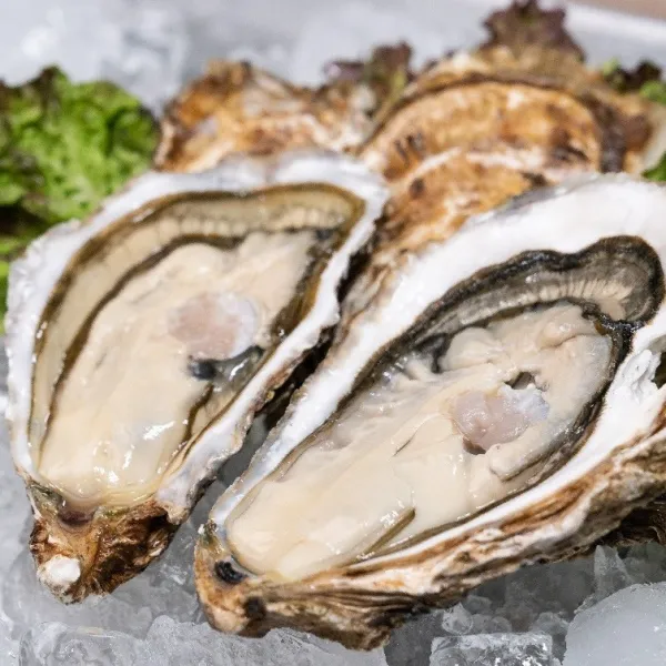 성훈수산 사계절굴하프셀1kg 1팩 1kg