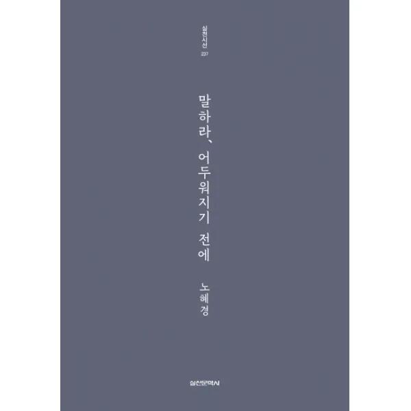 말하라 어두워지기 전에, 실천문학사