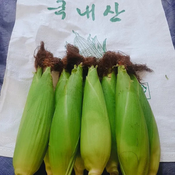 [무료배송] 2020년 햇옥수수 (경상남도) 꼬맹이(12cm내외) 미백찰옥수수, 10개입