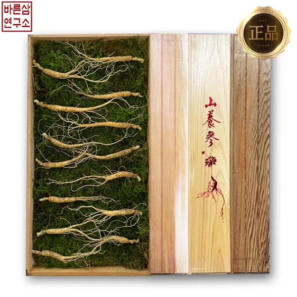 바른삼연구소 프리미엄 국내산 산양삼 장뇌삼 산양산삼 산삼 5-6년 7-8년 10년 13년, 13년근 5뿌리, 일반포장(신선스티로폼+고급보자기)