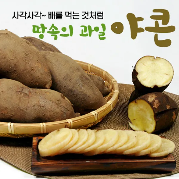 땅에서 나는 배 야콘 정품(갈라짐 있음)! 딱 1달만 판매 1주일 후숙 필수, 2kg