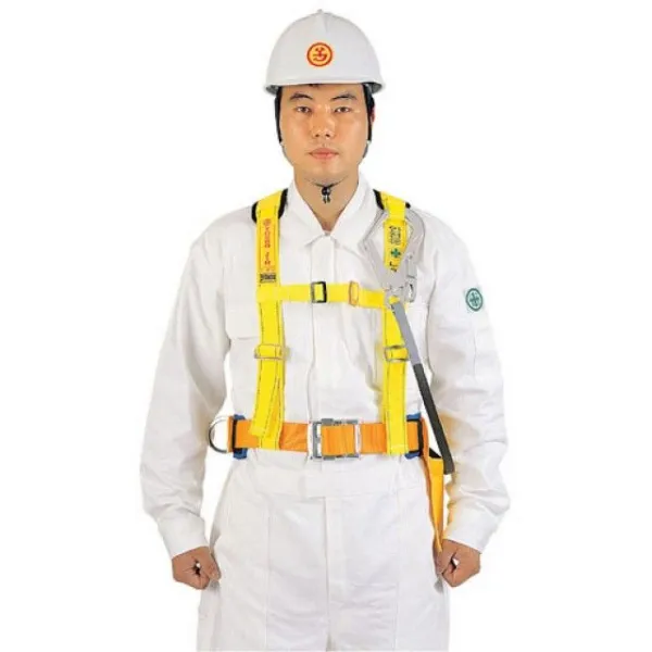 edwziz 78586ST/대구경영진-8530066상체그네/상체식