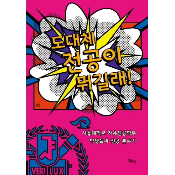 도대체 전공이 뭐길래!:서울대학교 자유전공학부 학생들의 전공 분투기, 일조각