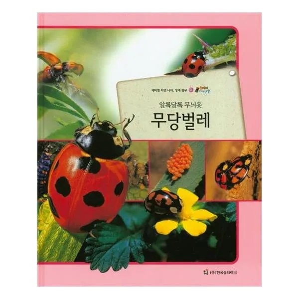 올빼미 자연관찰 01 알록달록 무늬옷 무당벌레 (곤충류)