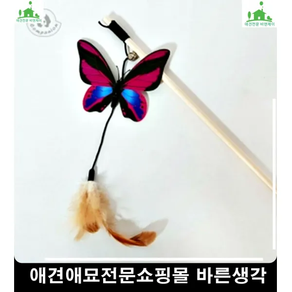 점프하기좋아하는고양이활동력증진장난감 고양이장난감추천