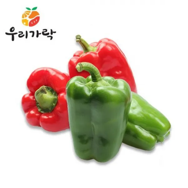 우리가락 혼합피망 500g 1개 없음 상세설명 참조