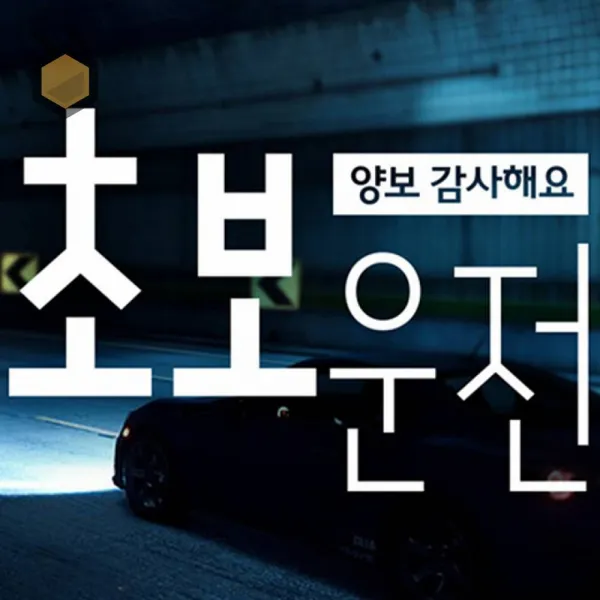 앤트비하우스 양보감사초보운전 고딕체 초보자동차스티커 화이트 차량용스티커 자동차스티커