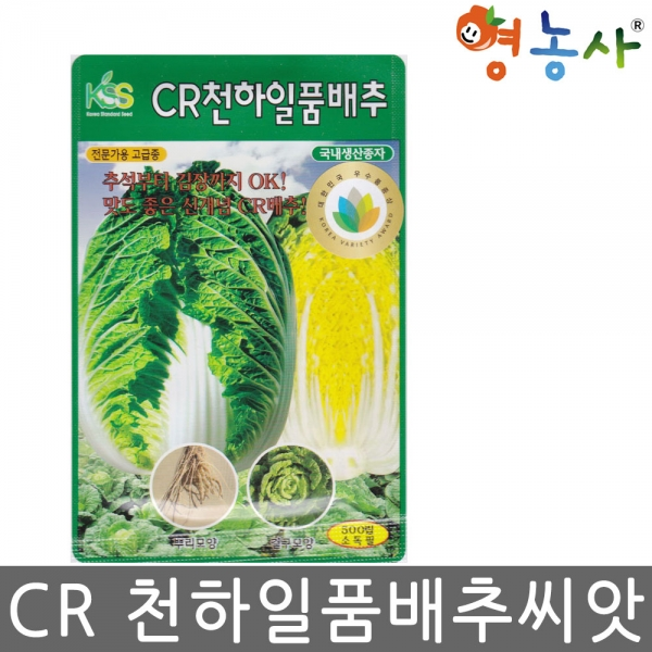 CR 천하일품 배추씨앗 500립 김장씨앗 통배추씨앗, CR천하일품배추