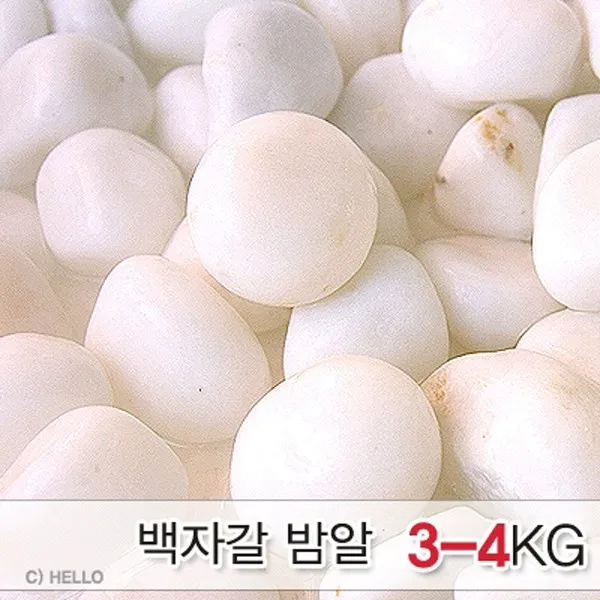 백자갈 밤알크기 3~4kg (어항바닥재 수족관모래)